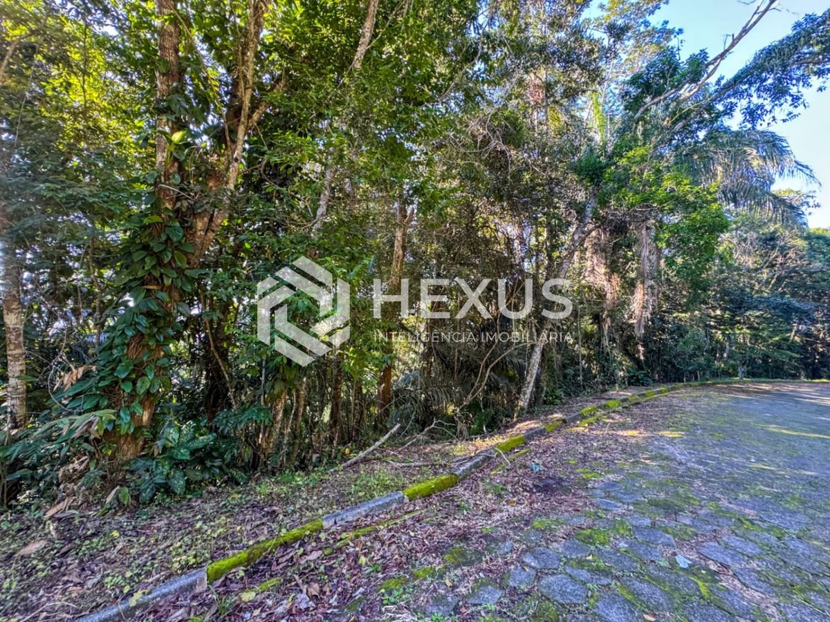 Foto 4 de Terreno com vista mar no Morro Sorocotuba na Enseada, Guarujá