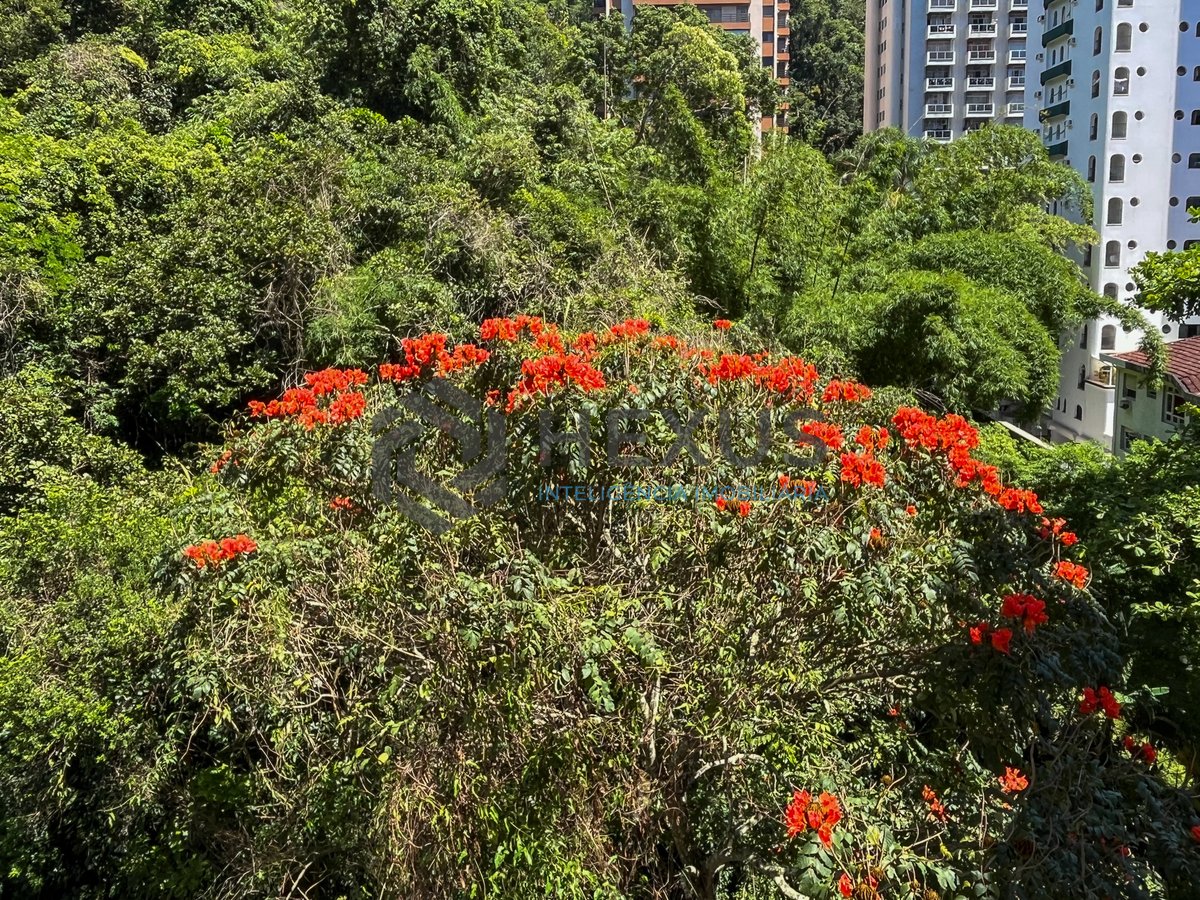 Foto 28 de Apartamento reformado com varanda e lazer a 150m da Praia das Pitangueiras, Guarujá